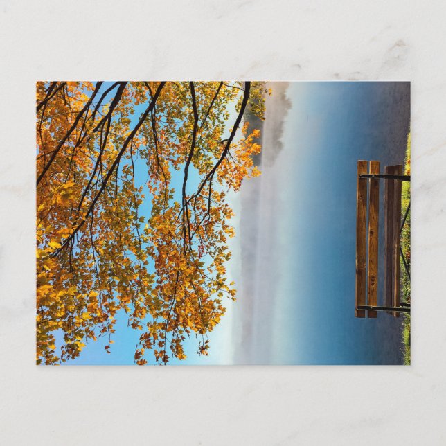 IN DEN FARBEN DER NATUR POSTKARTE (Vorderseite)