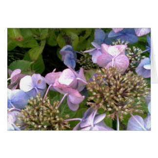 In den Garten