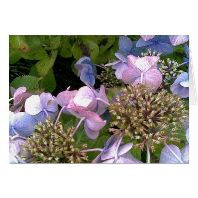 In den Garten (Vorderseite (Horizontal))