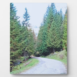 In den Herzenswald - Wilde Natur Rumänien Fotoplatte