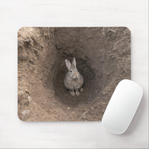 In den Kaninchenbau hinabgestiegen Mousepad
