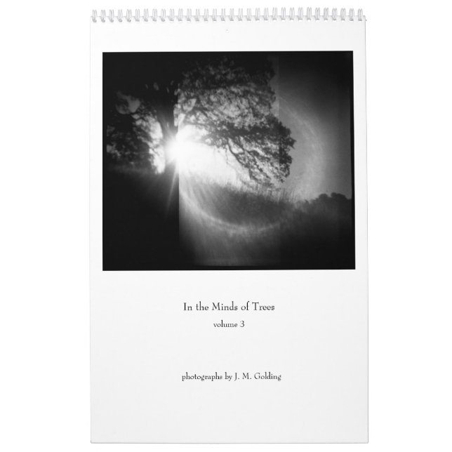 In den Köpfen der Bäume, Band 3 Kalender (Titelbild)