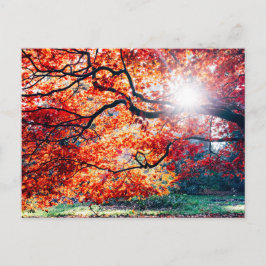 IN DEN MAGISCHEN FARBEN DER POSTKARTE