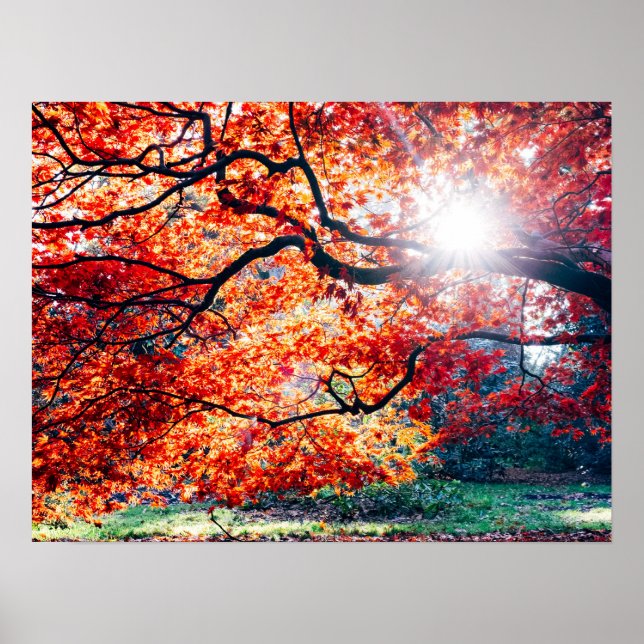 IN DEN MAGISCHEN FARBEN DER UMGEBUNG POSTER (Vorne)