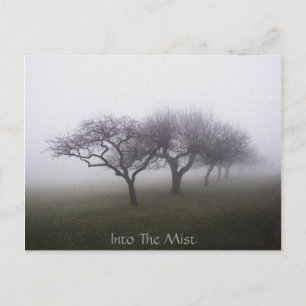 In den Nebel Postkarte
