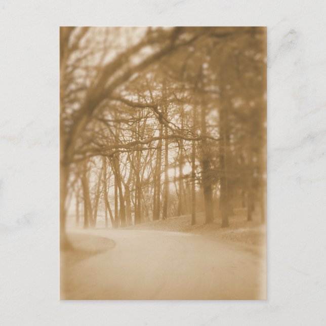 In den Nebel - Postkarte (Vorderseite)