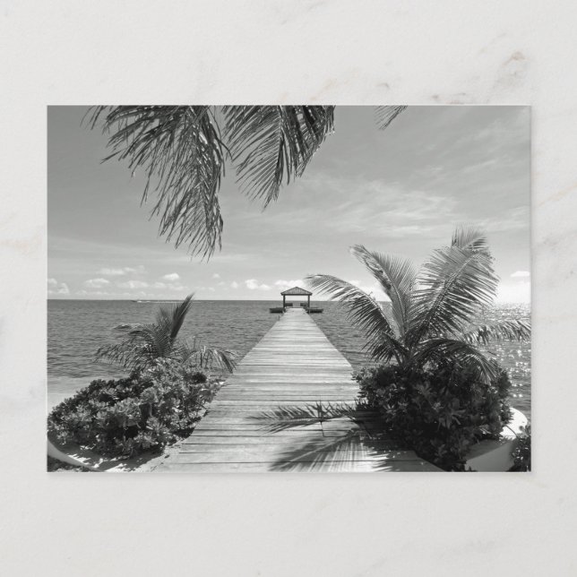 In den Ozean Postkarte (Vorderseite)