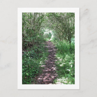 In den Wald: Cheshire, England Postkarte
