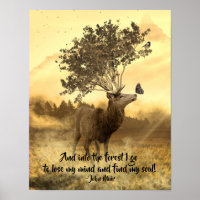 In den Wald gehe ich, John Muir Nature Zitat