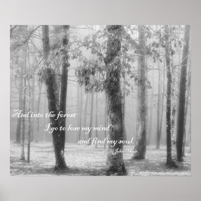 In den Wald gehe ich ... Mein Soul suchen Poster (Vorne)