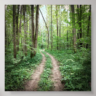 In den Wald gehen Poster