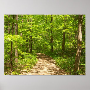 In den Wald Poster
