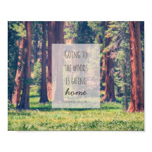 In den Wald | Poster