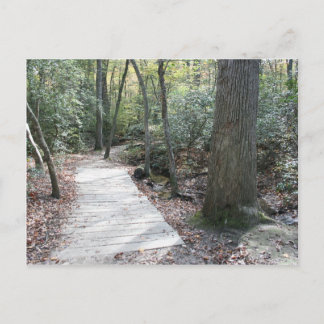 In den Wald Postkarte