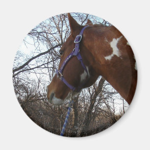 In den Wald schaue ich Magnet