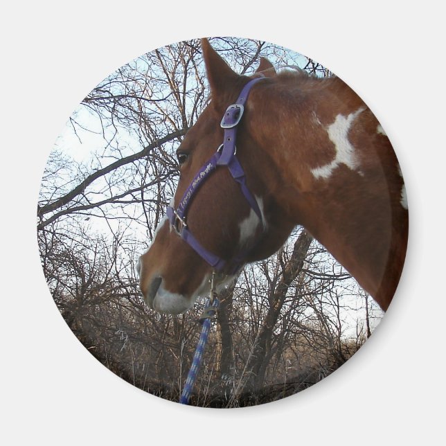 In den Wald schaue ich Magnet (Vorne)