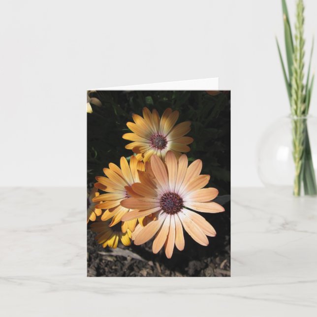 In der Blase Karte (Vorderseite)