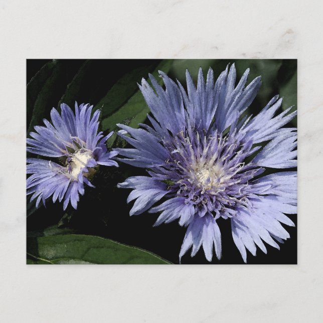 In der Garten-Postkarte Postkarte (Vorderseite)
