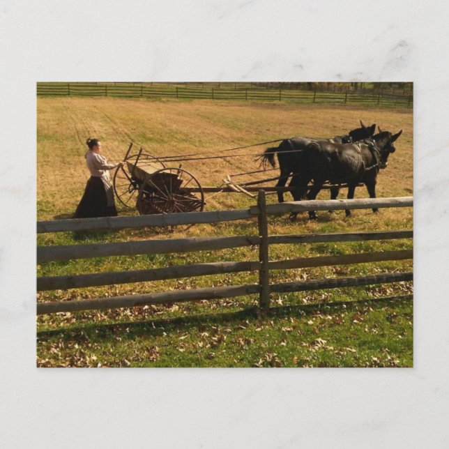 In der Landwirtschaft Postkarte (Vorderseite)