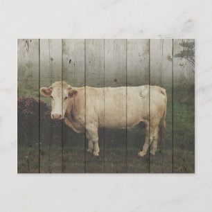 IN DER PASTURE... POSTKARTE