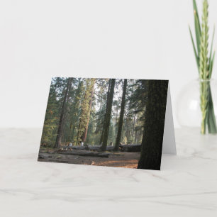 In der Sierra Neveda Karte