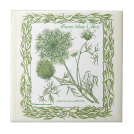 In der Spitze-der Fliese Garten ~ Königin-Anne