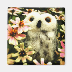 In der Suche nach Feen Magnet