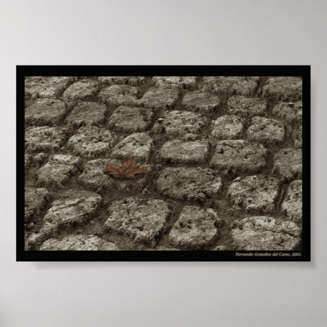 In-der-welt-sein Poster (Vorne)