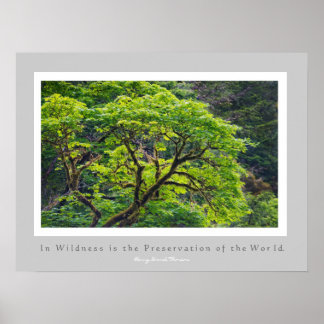 In der Wildnis ist die Erhaltung der Welt Poster