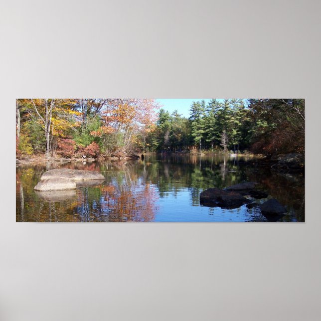 In die Cove Poster (Vorne)