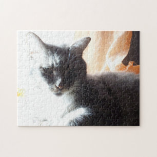 In die helle Sonne Katze oder machen Sie sich selb