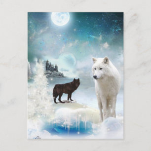 In die Mystische Wildnis Postkarte