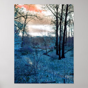 In die Wälder Poster