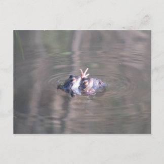 In dieser Beziehung sind wir drei Postkarte