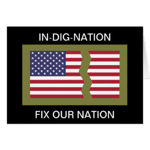 IN-DIG-NATION FIX UNSERE NATION