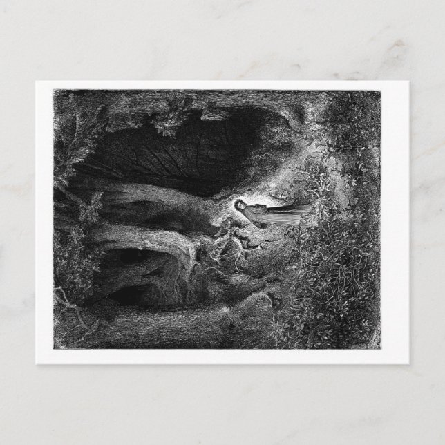 in düsterem Holz Postkarte (Vorderseite)