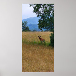 In einem Feld Stehender Buck Poster