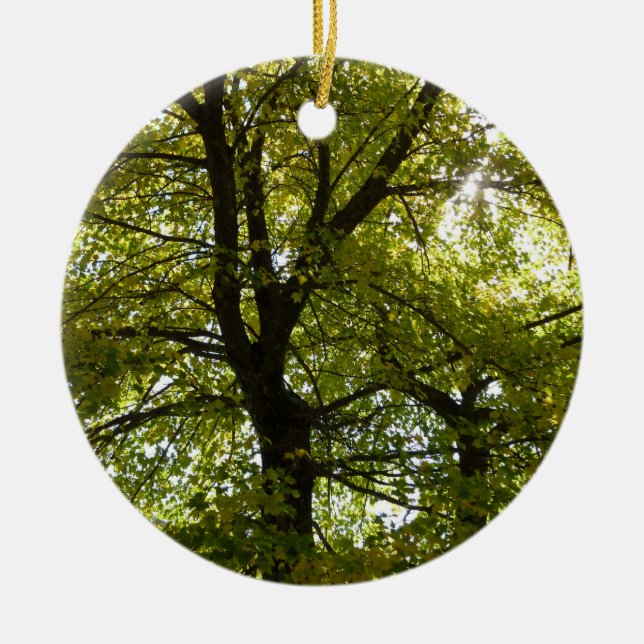 In einem gelben Ahornbaum Herbst Keramik Ornament (Vorne)