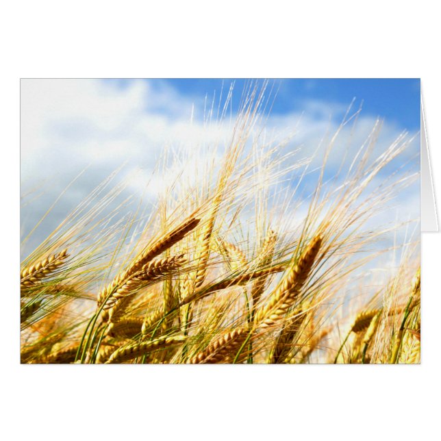 In einem Kreislauf der Sonne (Vorderseite (Horizontal))