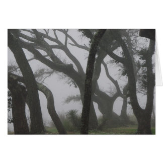 In einem Nebel