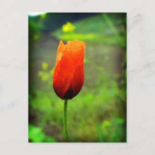 In Flammen Postkarte