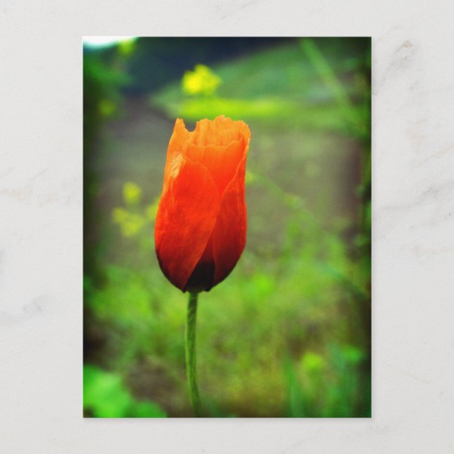 In Flammen Postkarte (Vorderseite)