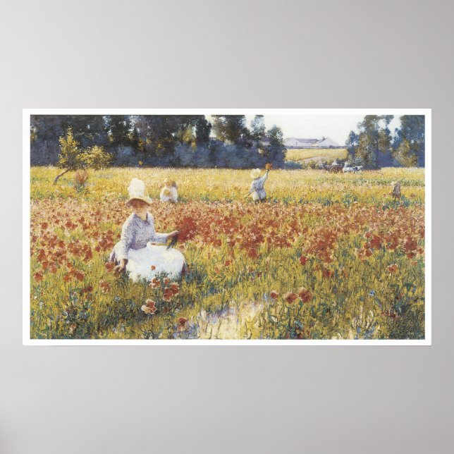 In Flandern Field - wo Soldaten schlafen & Pfeffer Poster (Vorne)
