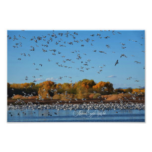 In Flug Fotodruck