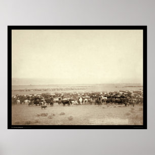 In Herden leben des Viehs am Moos-Achat Sd 1887 Poster
