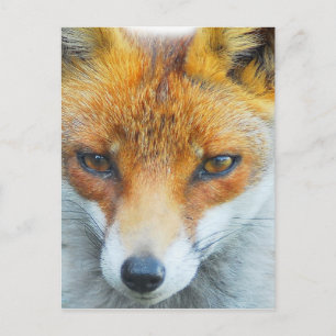 In Ihrem Gesicht Postkarte