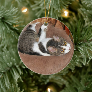 In ihrem Katzenbett Keramik Ornament