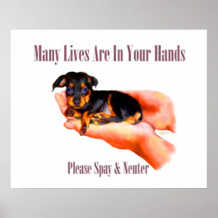 In Ihren Händen (bitte Spay & Neuter) drucken Poster