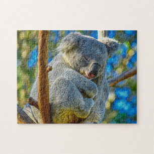 In Koala sleeping peacefully in a tree