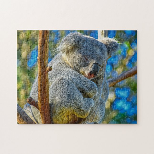 In Koala sleeping peacefully in a tree (Horizontal)